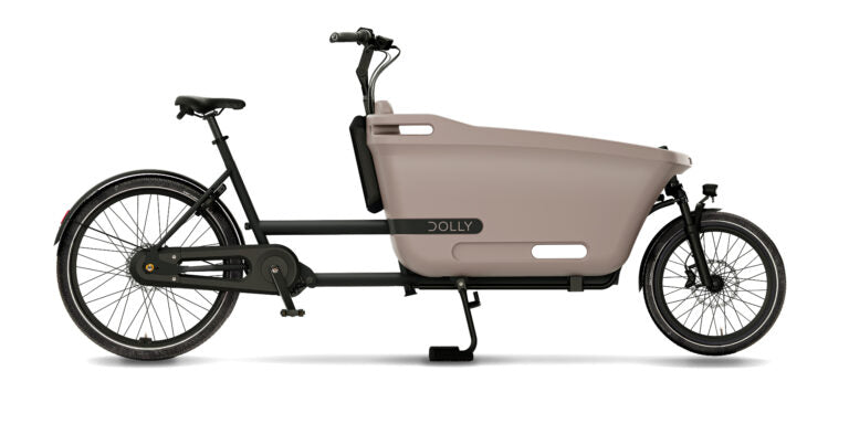 Dolly-Joy-Black-Hazelnut-1-768x432_2c07d06c-1e4f-436e-8a5d-1381e1c04ead.jpg