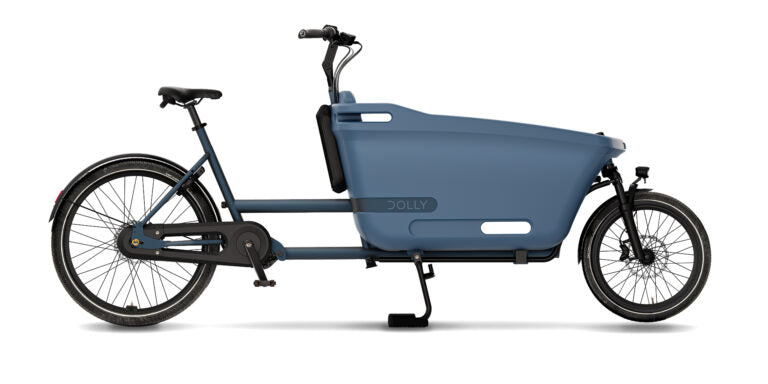 Dolly-Joy-Blue-Raspberry-1-768x432_88d0f996-5acd-4ed0-8fd6-192e39291378.jpg