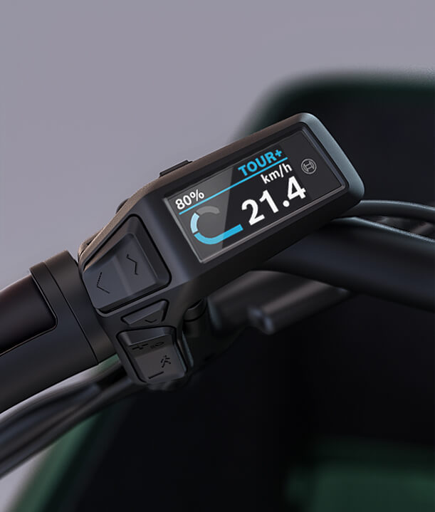 Bosch Smart System